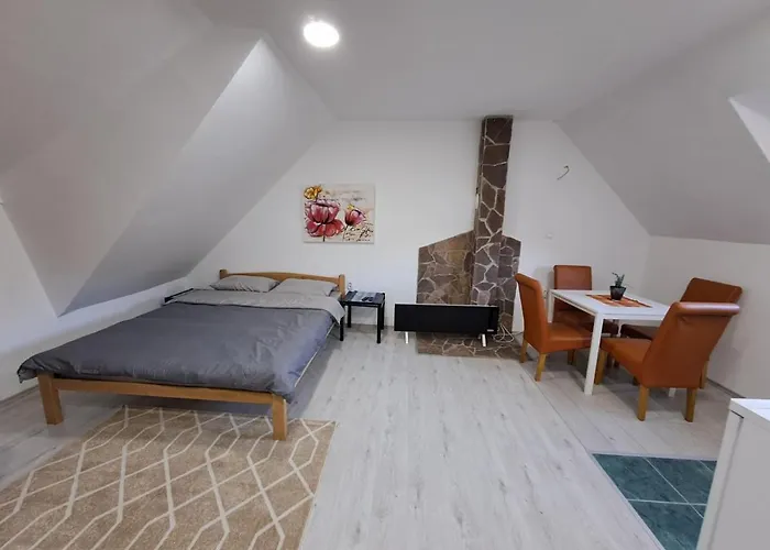 Lägenhet Leon Brzece/apartmens Leon *