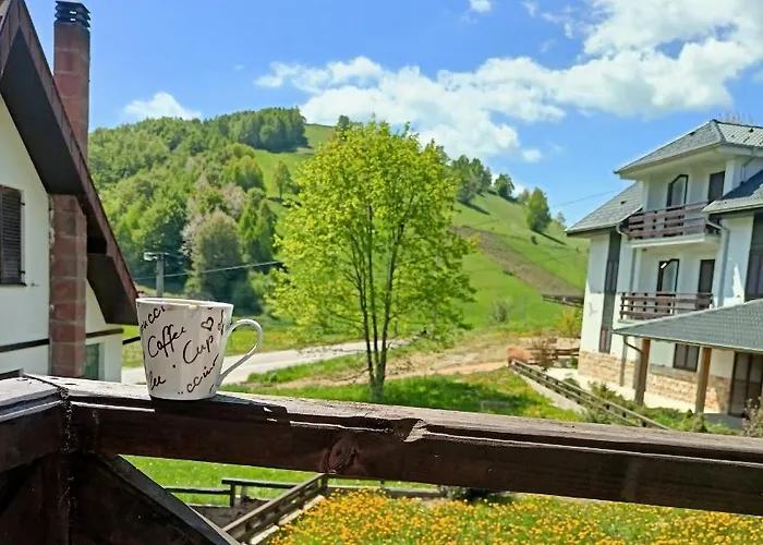 Lägenhet Leon Brzece/apartmens Leon